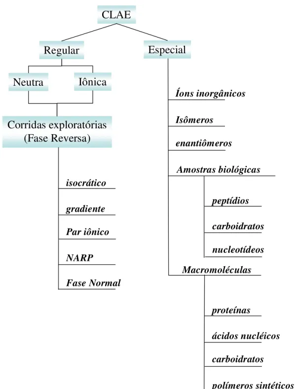 Figura 1. Usando a informação sobre a amostra para selecionar condições experimentais para  separação inicial (SNYDER, KIRKLAND, GLAJCH, 1997)