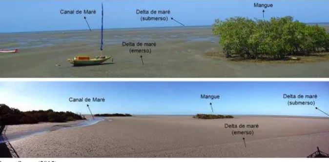 Figura 12 - Mosaico de imagens panorâmicas do delta de maré de Icapuí durante a baixa-mar,  destacando morfologias associadas.
