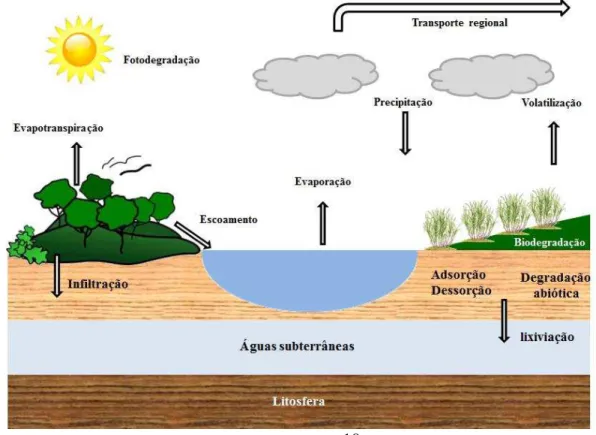 Figura 1 ‒ Visão geral dos diferentes caminhos e destinos dos pesticidas após a sua aplicação no  meio ambiente 