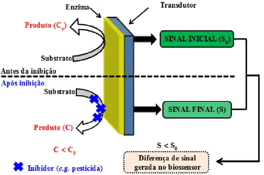 Figura  2  ‒  Representação  esquemática  do  prí ncipio  de  trabalho  empregando  biossensor  enzimático baseado no fenômeno de inibição 