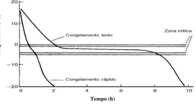 Figura 2 – Curvas de congelamento em função da temperatura e tempo. 