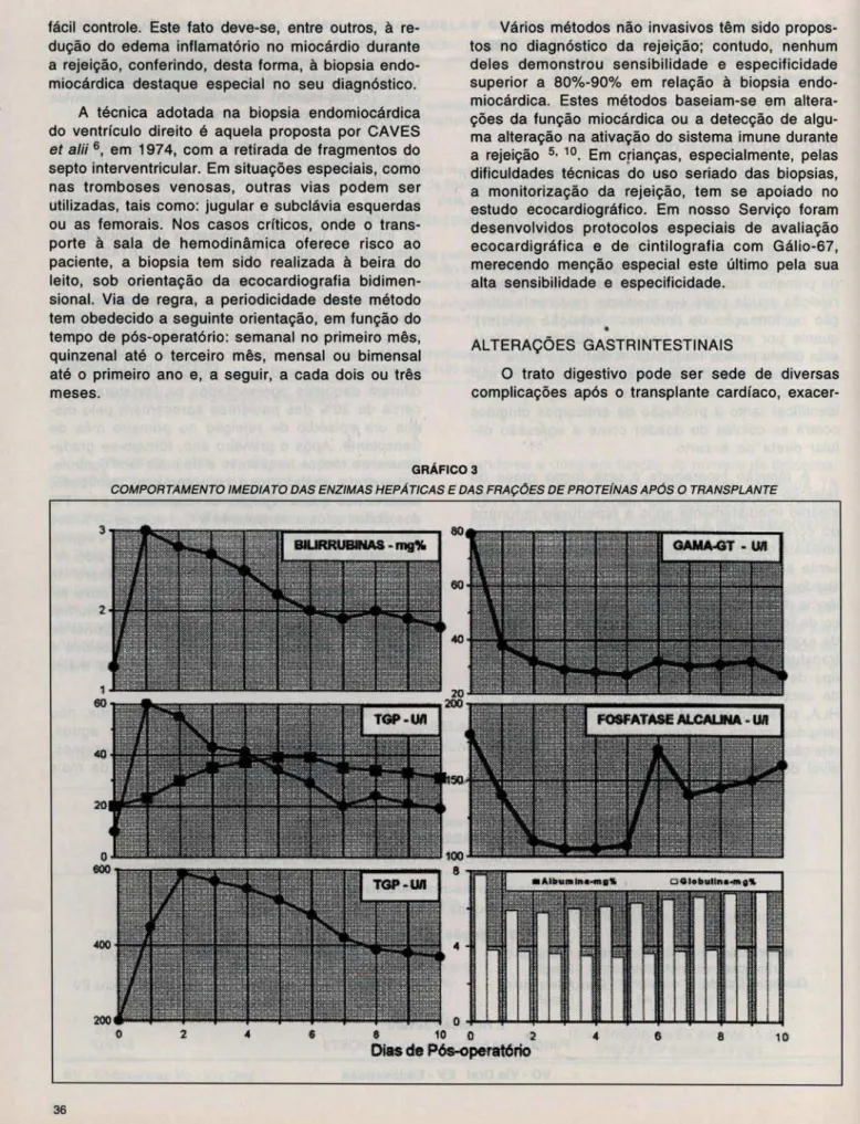 GRÁFICO 3 