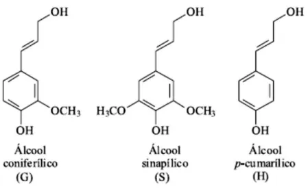 Figura 7  – Álcoois precursores da formação da lignina. 