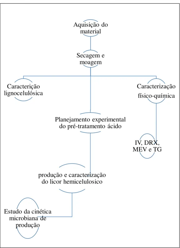 Figura 11: Fluxograma representativo das etapas executadas na pesquisa.