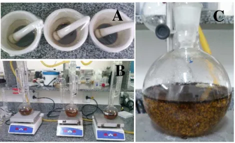 Figura 16: A - Repouso de 24 horas da biomassa em contato com ácido sulfúrico 72%; B  –  Aquecimento no sistema de soxhlet; C - Floculação das partículas de lignina