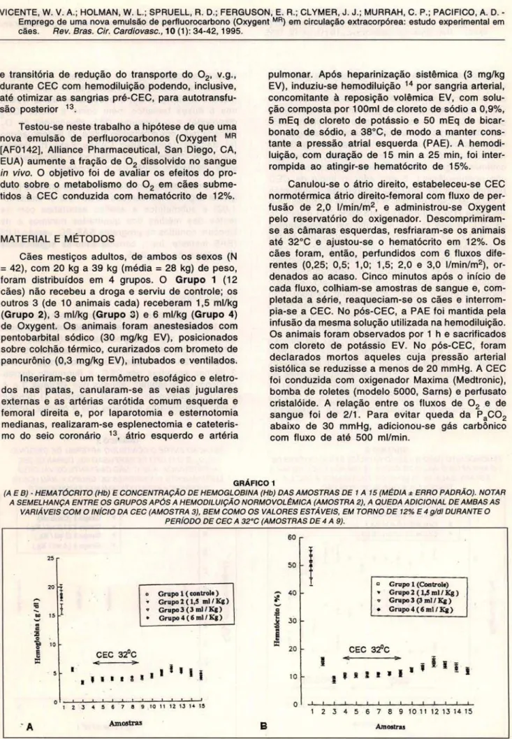 GRÁFICO 1 
