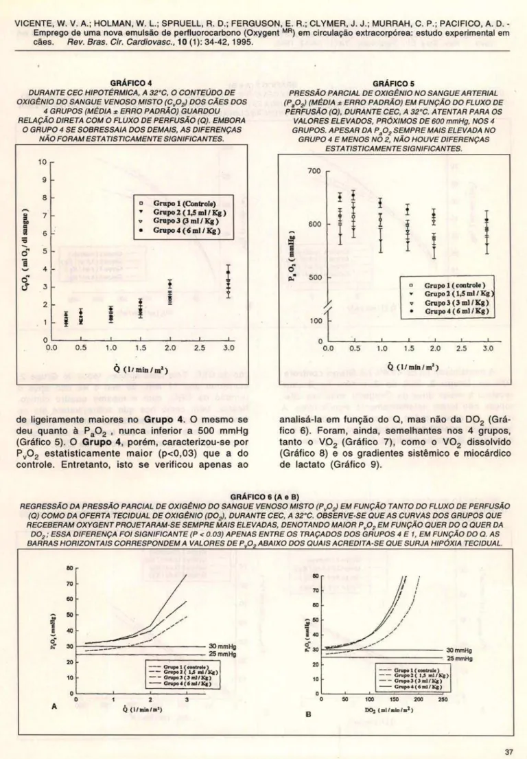 GRÁFICO 4 