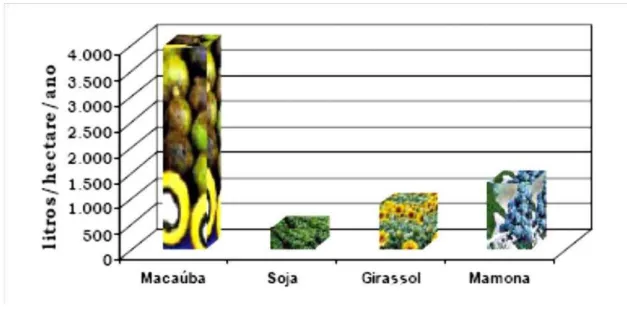 Figura 3 - Comparação entre a capacidade de produção de óleo vegetal de algumas  oleaginosas