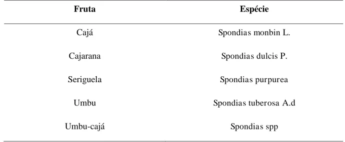 Tabela 1 - Identificação taxonômica do gênero  Spondias