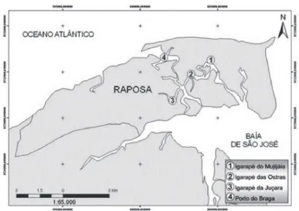 Figura 3 - Localização das áreas potenciais para cultivo no município de Raposa,  Maranhão.