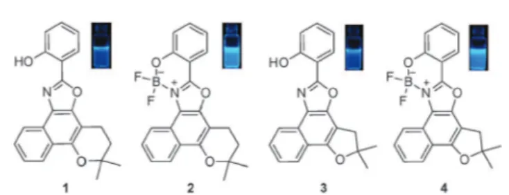 Fig. 1 Structures of the fluorescent compounds evaluated in this work.
