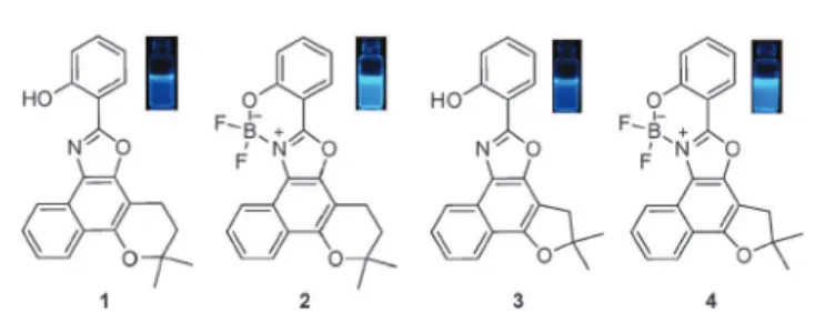 Fig. 1 Structures of the fluorescent compounds evaluated in this work.