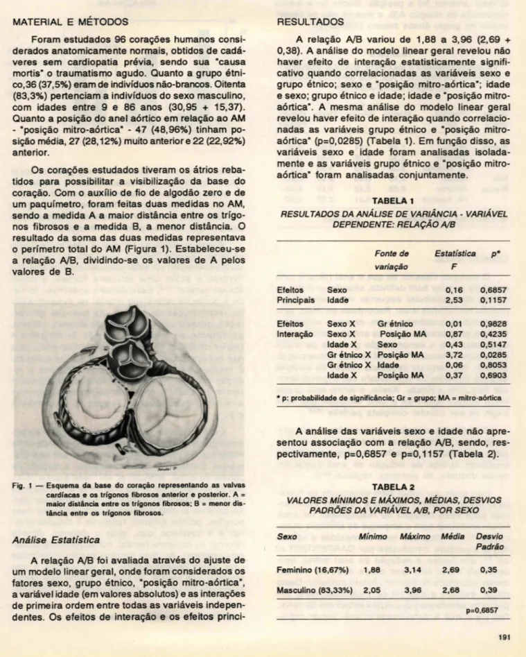 Fig.  1 - Esquema  da  base  do  coração  representando  as  valvas  cardfacas  e os  trfgonos  fibrosos  anterior  e posterior