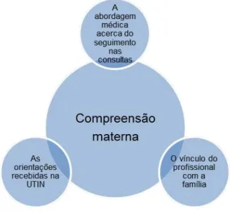 Figura 3  –  Fatores facilitadores da compreensão materna 