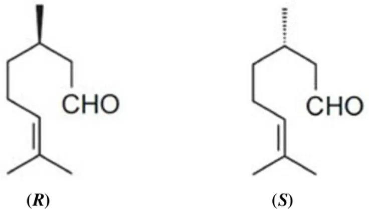 Figura 1. Estruturas espaciais dos isômeros R e S do citronelal. 