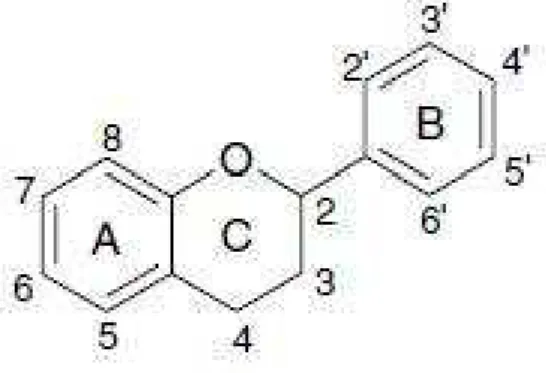 Fig. 1 Estrutura química dos compostos fenólicos 