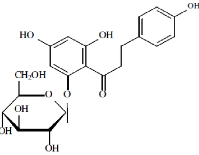 Fig. 6 Estrutura química da floridzina 