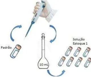 Figura 6 - Procedimento de diluição do padrão para preparação da Solução Estoque 1 