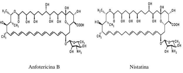 Figura 4 - Estrutura química da anfotericina B e da nistatina. 