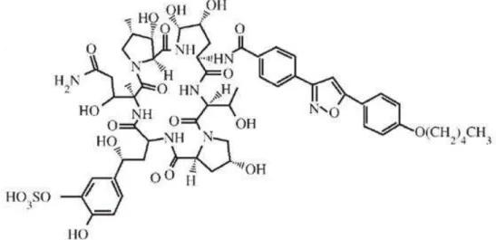 Figura 13 - Estrutura química da micafungina. 