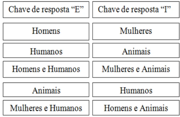 Figura 8. Sequência dos cinco blocos do TAI Humanos  –  Animais 