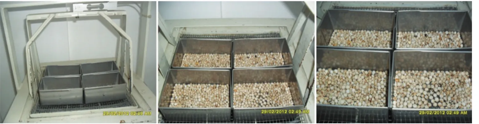 Figura 2.  Peneiras metálicas com os grãos utilizados no experimento.