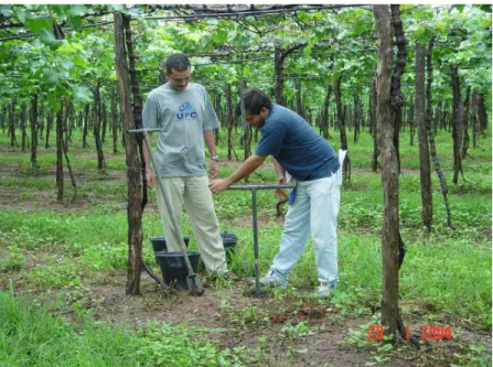FIGURA 4 – Coleta de amostras de solo, para análises, na área irrigada do DIPAN, Ceará