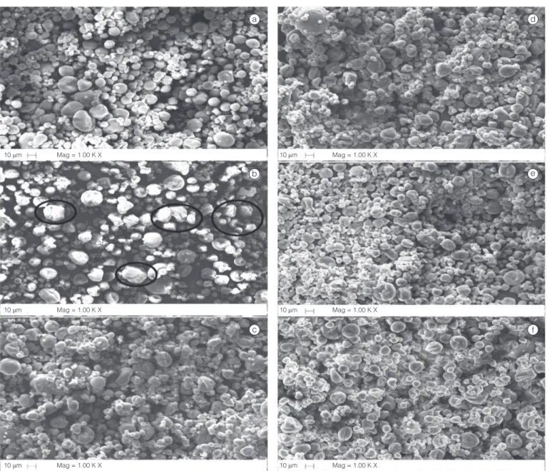 Figura 2.  Imagens microscópicas das amostras de suco de amora-preta em pó, produzidas sob diferentes temperaturas de 