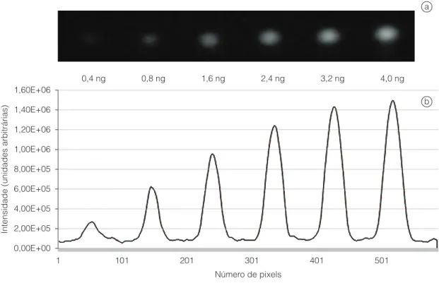Figura 1.  a) Imagem da placa cromatográfica obtida pelo detector de carga acoplada com concentrações crescentes de  Ocratoxina A; e b) Cromatograma obtido da imagem da placa cromatográfica com as mesmas concentrações da micotoxina.