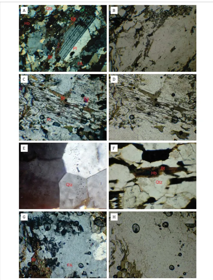 Figura 4. Aspectos microscópicos do Gnaisse Taquarussu. (A e B) Porfiroclastos de plagioclásio com geminação  carlsbad  em  meio  a  uma  matriz  fina  com  textura  granoblástica  e  lepidolástica,  com  polarizadores  cruzados  e  paralelos,  respectivam