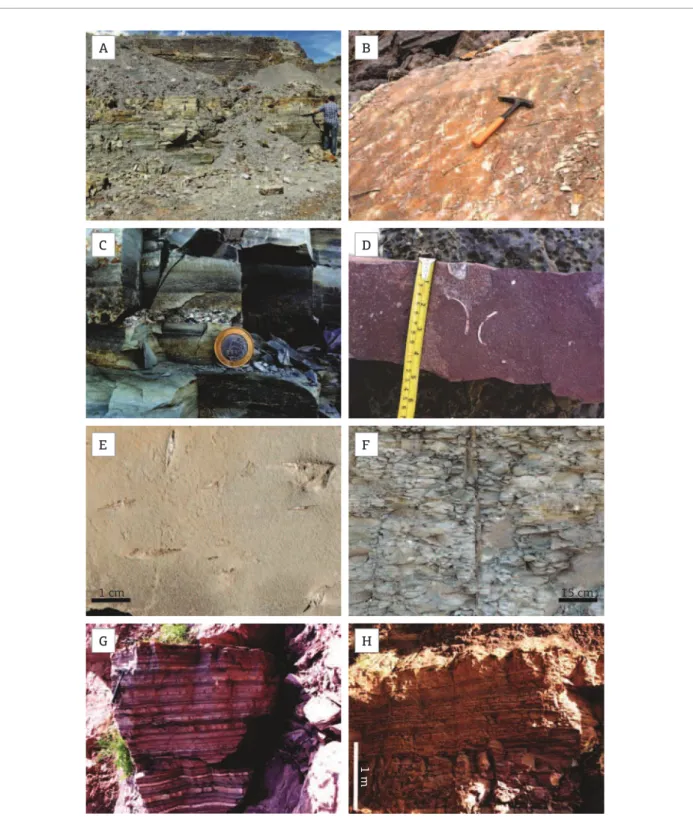 Figura 5. Fácies sedimentares da Formação Serra Alta. (A) Afloramento de fácies arenosas basais da Formação  Serra  Alta