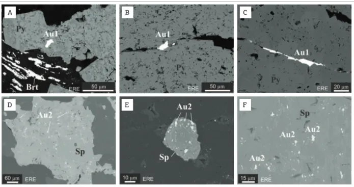 Figura 6. Imagens de elétrons retroespelhado utilizadas nas análises de energy dispersive spectroscopy