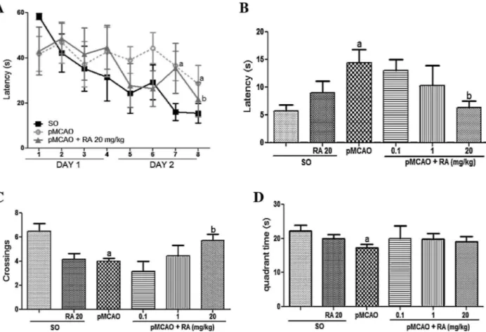 Fig. 7. Rosmarinic acid (RA) treatment prevents ischemia-induced spatial memory deficits