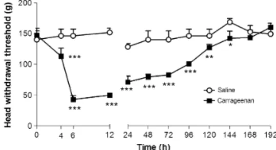 Fig. 1. Time course of the hypernociceptive eﬀect of carra- carra-geenan-induced temporomandibular joint (TMJ) arthritis