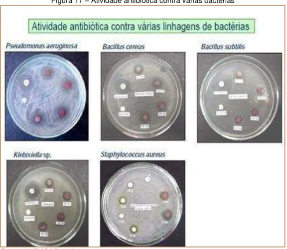 Figura 17 – Atividade antibiótica contra várias bactérias 