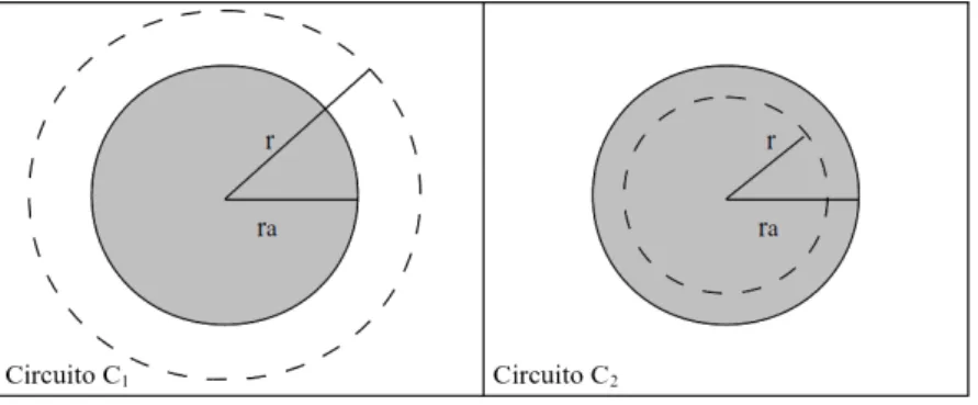 Figura 3.3: Circuitos amperianos C 1 , com r > r a , e C 2 com r < r a .
