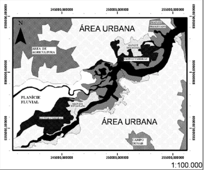 Fig. 3 - Mapa esquemático com a classificação de unidades geo-ambientais para a área do estuário do Rio Potengi.