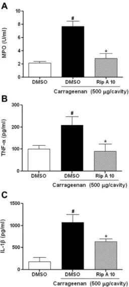 Fig. 2 shows that carrageenan administration into the right hind paw promoted the formation of edema, peaking at 4 h (0.14 ± 0.01 ml) and 72 h (0.15 ± 0.02 ml), and then declining at 96 h (0.10 ± 0.01 ml)