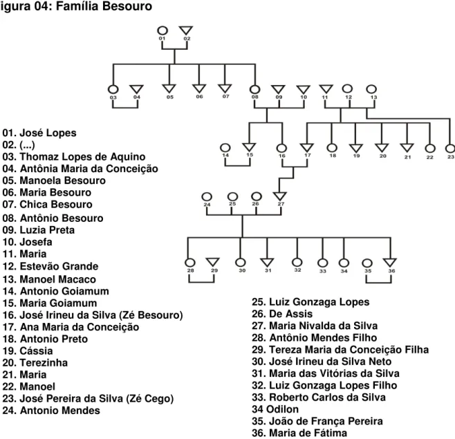 Figura 04: Família Besouro 