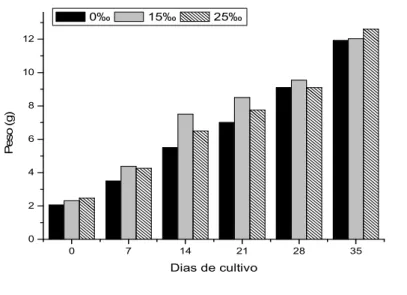 Figura 5. Crescimento em peso (g) das tilápias do Nilo,  , durante a  avaliação da taxa de reversão sexual, para as salinidades de 0, 15 e 25