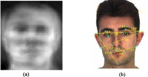 Figura 2: Ilustração dos métodos de reconhecimento de faces.  (a)Método holístico (PCA); (b)  Método não-holístico