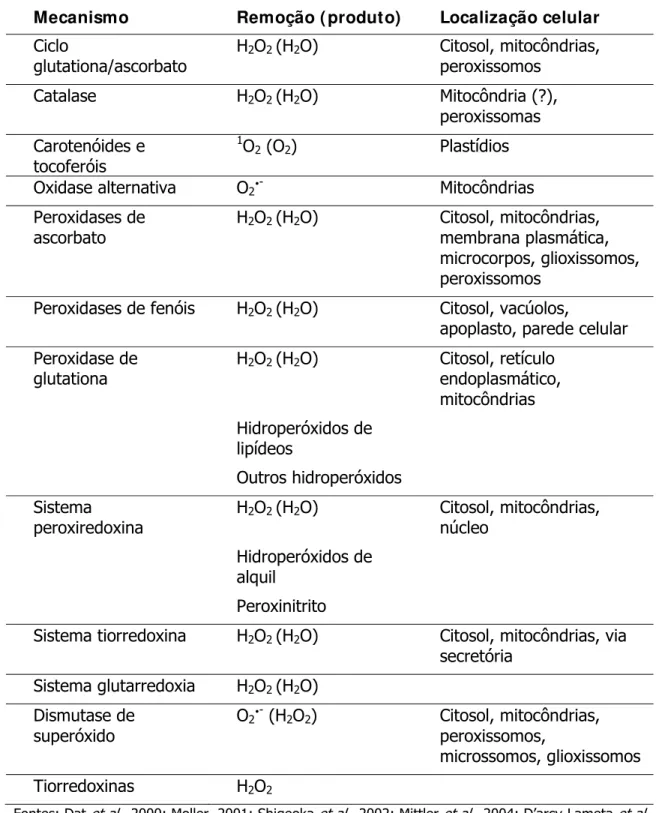 Tabela 2 – Mecanismos de eliminação de espécies reativas de oxigênio em raízes, seus  compartimentos celulares e respectivas espécies removidas 