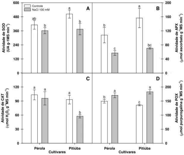 Figura 4 – Atividade de SOD (A), APX (B), CAT (C) e POX (D) em raízes de plântulas de feijão-caupi  das cultivares Pérola (à esquerda de cada gráfico) e Pitiúba (à direita de cada gráfico) com 4 dias de  idade, cultivadas sob condição controle e tratadas c