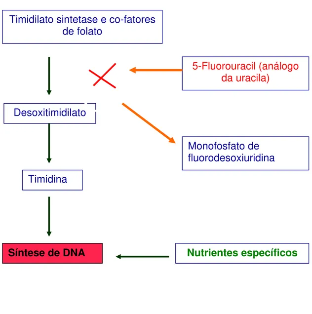 FIGURA 4: Representação esquemática da inibição de síntese de DNA pelo 5- 5-fluorouracil e da interferência de nutrientes específicos neste processo