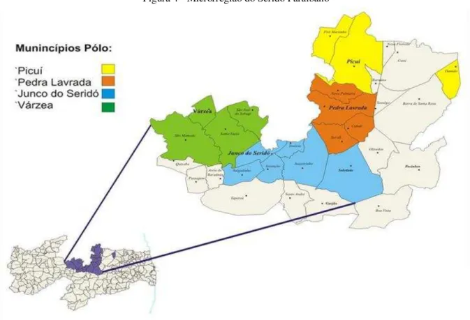 Figura 4 - Microrregião do Seridó Paraibano 