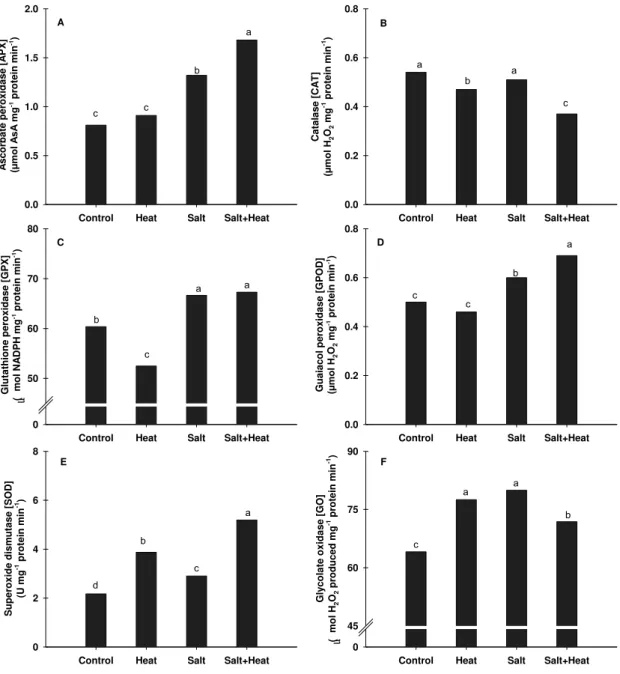 Figure  5.  Changes  in  ascorbate  peroxidase  (A),  catalase  (B),  glutathione  peroxidase  (C),  guaiacol  peroxidase  (D),  superoxide  dismutase  (E)  and  glycolate oxidase (F) in leaves of rice plants under multiple stresses (heat, salt  and  salt+