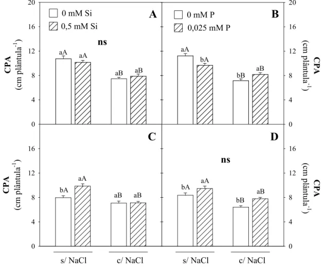 Figura 11. Comprimento da parte aérea (CPA) de plântulas de sorgo, genótipo CSF 18 (A e B)  e CSF 20 (C e D), aos 10 dias após a semeadura, cultivadas na ausência ou presença de NaCl e  em ausência ou presença de Si (A e C) ou P (B e D)