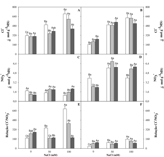Figura 10  –  Teores de Cl - , NO 3 -