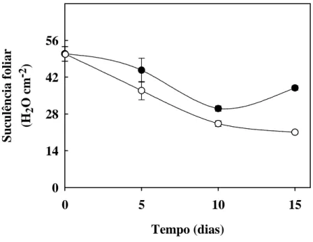 Figura 5. Suculência de folhas de plantas de sorgo forrageiro (genótipo CSF 18) crescidas em solução nutritiva  de Hoagland 1:2 (controle -    ) ou solução nutritiva contendo NaCl a 75 mM (estresse salino -    ), em função do  tempo de estresse