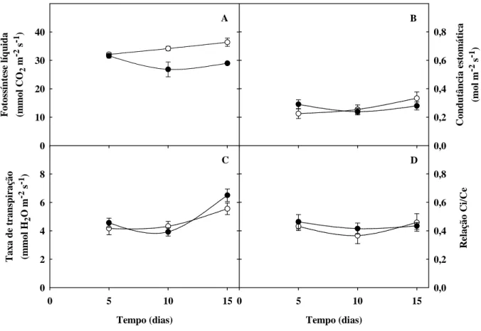 Figura 6. Fotossíntese líquida (A), condutância estomática (B), transpiração (C) e relação entre a concentração  de  CO 2   interna  e  externa  (Ci/Ce;  D)  de  plantas  de  sorgo  forrageiro  (genótipo  CSF  18)  crescidas  em  solução  nutritiva de Hoag